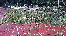 Albero sulla pista di atletica, chiusi campo scuola e via Corte