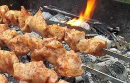 Famiglia intossicata dalla carbonella del barbecue