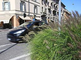 Foto e video dei lettori per segnalare i problemi della città