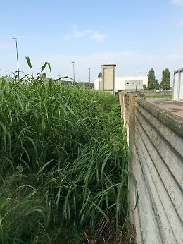 Le foto inviate da Silva sul degrado della zona industriale di Pandino