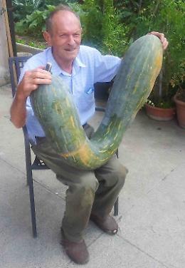 La 'super zucca' da 30 chili