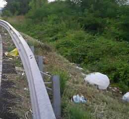 Bordi della Paullese come discarica