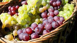 Vinuva, festival del vino dell'uva a Stradella (PV)