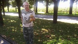 Vailate, funghi vicino al cimitero
Bellissimi ma tossici