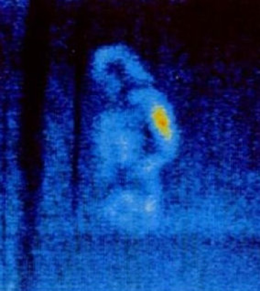 Alla ricerca del fantasma Moroello nel Castello di Bardi Fino al 3 ottobre