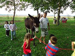 ''Asino Day'' a Gussola, la festa del Centro Natura Amica Onlus Domenica 7 settembre