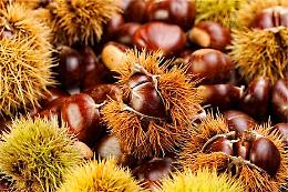 Festa delle castagne e dei ricordi a Castell'Arquato