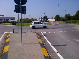 Mulo in tangenziale investito e ucciso da un'auto 