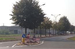 Centra l'aiuola e poi scappa