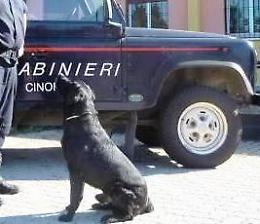 Operazione 'Baraonda': altri due arresti 