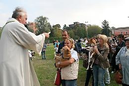 Sabato 11 ottobre benedizione degli animali