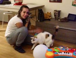 Il 'gattile' per ora resta un sogno