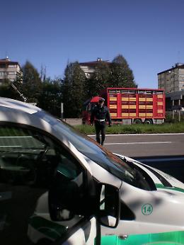 Le immagini dei controlli sui camion operati dai vigili sulla Castelleonese