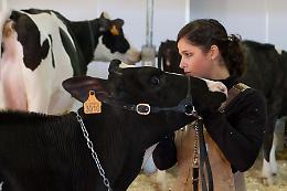 Fiere Zootecniche di Cremona mai così internazionali