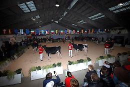 224^ Edizione della Fiera Autunnale di Codogno 18 e 19 novembre