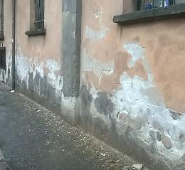 Via Verdi e via Petrali invase dal guano