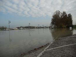 Massima allerta in attesa del colmo
Non chiude il ponte di Casalmaggiore

