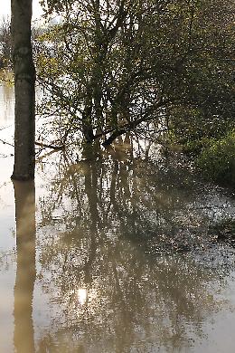 Suggestioni sull'acqua