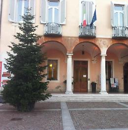 «Portate le palline per l’albero»