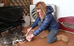 Strage di gatti nel parchetto