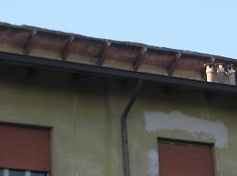 Le foto del degrado nella case Aler di via Giuseppina