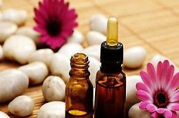 Piante aromatiche ed oli essenziali Incontro a SpazioComune