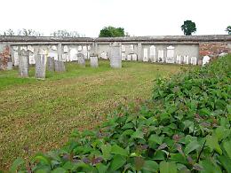 La Giornata della Memoria: programma fitto di visite guidate, spettacoli e letture
