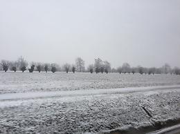Neve nelle campagne di Malagnino (Enrico Galletti)