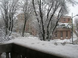 Viale Trento e Trieste (Lucrezia)