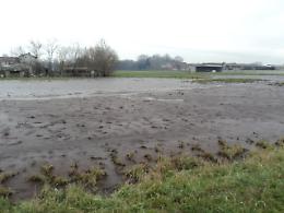 Lago di reflui scoperto dai forestali, denunciato un allevatore