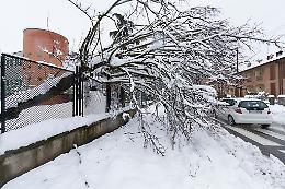Nevicata, danni per mezzo milione; chiesto lo stato di calamità