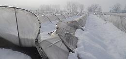 Neve, chiesto lo stato di calamità