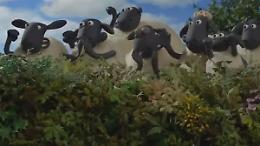 Shaun, Vita da Pecora