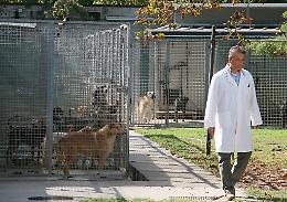Uccisero cani, condannate Cheti Nin e due volontarie del canile