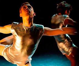 BIRD’S DANCE PROJECT "Ali per volare"