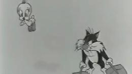 Silvestro e Titti, il gatto e il canarino a cartoon compiono 70 anni