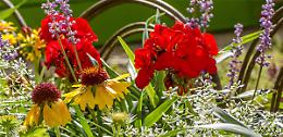 Brixia Florum, mostra mercato a Brescia