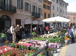 Migliaia di persone in città: successo per la terza edizione de Le Invasioni Botaniche