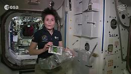 Olio, sgombro e guacamole: i pranzi spaziali di AstroSamantha
