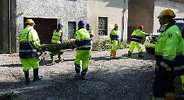 Piante in sicurezza grazie ai volontari della protezione civile