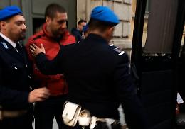 Ilievski inguaia Mauri & C.