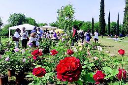 Franciacorta in fiore - Fiera dei fiori dal 15 al 17 maggio