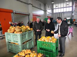 Coop. ortofrutticola, il 'grido di dolore' del presidente Ghidorzi