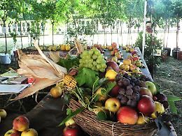 “Pillole di Salute”, incontro sull'alimentazione dell'Ats