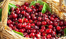 Festa delle ciliegie dal 7 al 14 Giugno