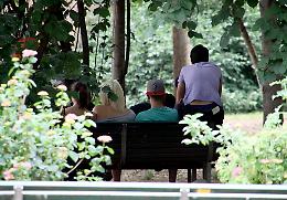 Pestato al parco Vecchio Passeggio, 25enne ferito