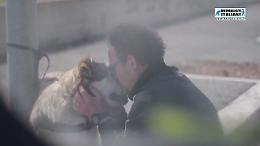 Tu lo abbandoni lui ti perdona, chi è la bestia? Lo spot degli Animalisti italiani