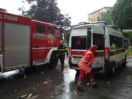 L'albero colpito dal fulmine in piazzale Rimembranze