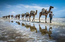 Fotografia, la Dancalia di Madini
prima al concorso Lonely Planet