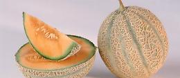Melone, show cooking con gli chef domenica 12 luglio